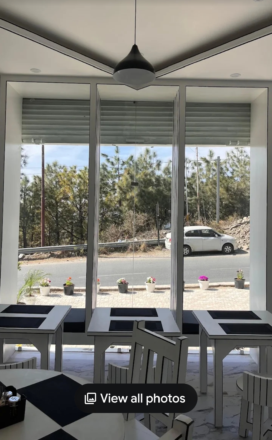 Pine views